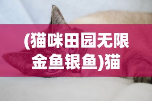 (猫咪田园无限金鱼银鱼)猫咪田园，无限金鱼与猫趣的交织