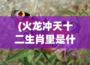 (火龙冲天十二生肖里是什么生肖呢)火龙冲天，揭秘十二生肖中的神秘生肖