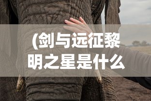 (剑与远征黎明之星是什么时候出的)剑与远征，黎明之星探秘
