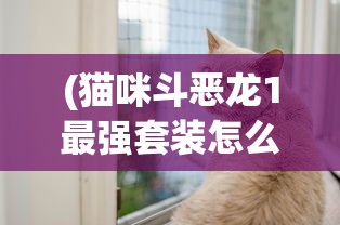 (猫咪斗恶龙1最强套装怎么获得)猫咪斗恶龙1，揭秘最强套装