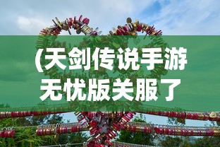 (天剑传说手游无忧版关服了吗)天剑传说手游无忧版，游戏解析与常见问题解答