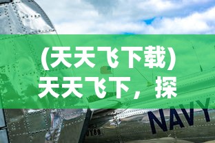 (天天飞下载)天天飞下，探索新时代的航空趋势与挑战