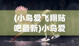 (小鸟爱飞翔贴吧最新)小鸟爱飞翔，贴吧中的自由飞翔梦想与生态保护热议