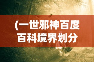 (一世邪神百度百科境界划分)一世邪神，深入解析这部神秘作品的背后故事与魅力