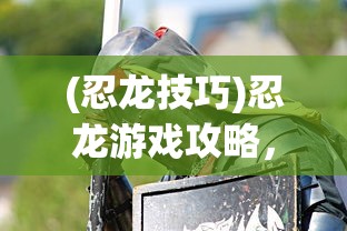 (忍龙技巧)忍龙游戏攻略，玩转忍龙，成为无敌战士！