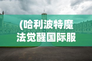 (哈利波特魔法觉醒国际服安装包)哈利波特魔法觉醒国际服，游戏深度探索与常见问题解答