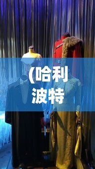 (哈利波特魔法觉醒国际服安装包)哈利波特魔法觉醒国际服，游戏深度探索与常见问题解答