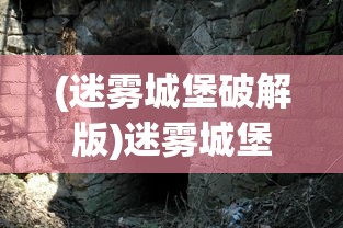 (迷雾城堡破解版)迷雾城堡，神秘与历史的交织