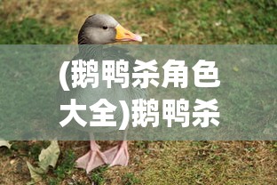 (鹅鸭杀角色大全)鹅鸭杀角色深度解析与探讨