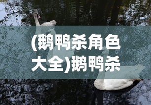 (鹅鸭杀角色大全)鹅鸭杀角色深度解析与探讨