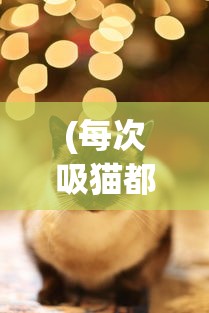 (每次吸猫都有意外的感觉是为什么)每次吸猫都有意外的感觉——探索与猫共度的奇妙时光