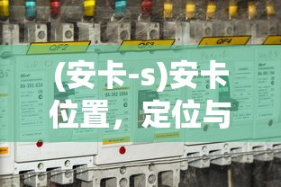 (安卡-s)安卡位置，定位与应用的重要性