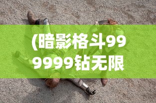 (暗影格斗999999钻无限金币最新版游戏介绍)暗影格斗，999999钻无限金币的极致体验与挑战