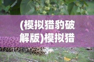 (模拟猎豹破解版)模拟猎豹无限金币版，全新体验与独特魅力