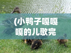 (小鸭子嘎嘎嘎的儿歌完整版)小鸭4568j，全新智能家电体验