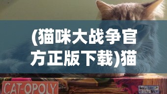 (转生成为废中废小说)转生成为废中废的林笑，逆境中的重生与启示