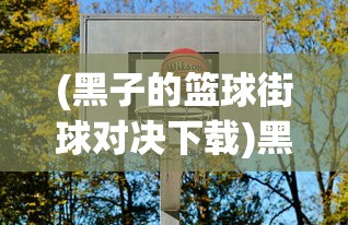 (黑子的篮球街球对决下载)黑子的篮球街球对决，热血对决与篮球魅力的碰撞