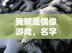 我就是偶像游戏，名字背后的故事——雪公主
