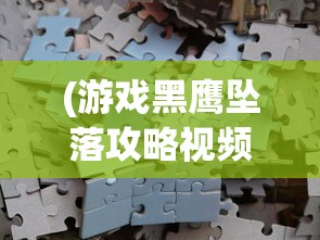 (游戏黑鹰坠落攻略视频)游戏黑鹰坠落攻略大全及常见问题解答（FAQ）