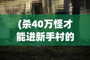 (杀40万怪才能进新手村的游戏叫什么)杀怪四十万，新手村入门，这款游戏的挑战与魅力