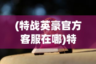 (特战英豪官方客服在哪)特战英豪官方客服，游戏支持与玩家互动的核心纽带