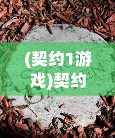 (契约1游戏)契约终了游戏，探索背后的故事与挑战