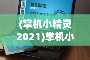 (掌机小精灵2021)掌机小精灵推荐，精选精灵指南与常见问题解答