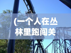 (一个人在丛林里跑闯关的游戏有哪些)丛林闯关冒险，一场刺激的游戏之旅