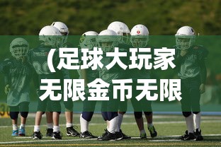 (足球大玩家无限金币无限钻石)足球大玩家，无限金币的魅力与挑战