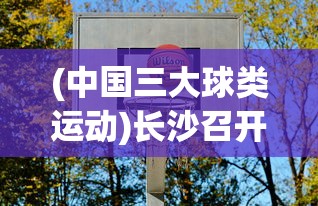 (中国三大球类运动)长沙召开三大球运动会发布会，聚焦体育盛事，共襄发展契机
