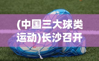 (中国三大球类运动)长沙召开三大球运动会发布会，聚焦体育盛事，共襄发展契机