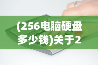 (256电脑硬盘多少钱)关于256G电脑硬盘价格的深度解析