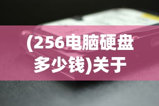 (256电脑硬盘多少钱)关于256G电脑硬盘价格的深度解析