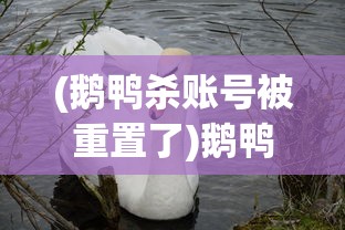 (鹅鸭杀账号被重置了)鹅鸭杀账号，游戏入门、管理与常见问题解答