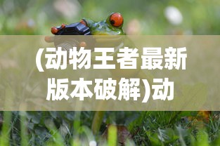 (动物王者最新版本破解)动物王者，最新版本的特色与革新