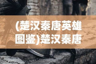 (楚汉秦唐英雄图鉴)楚汉秦唐三国版，历史重现的独特视角