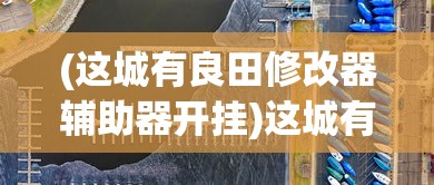 (这城有良田修改器辅助器开挂)这城有良田修改器，游戏辅助工具的多维解析