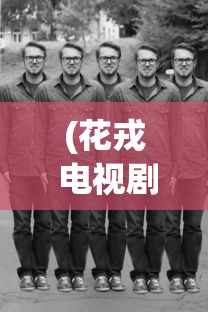(花戎 电视剧免费观看)花戎电视剧，深度解析与常见问题解答