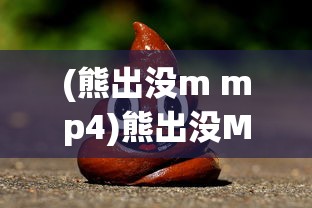 (熊出没m mp4)熊出没MP4视频，深度解析与常见问题解答