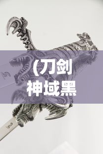 (刀剑神域黑衣剑士停服原因是什么)刀剑神域黑衣剑士停服深度解析及原因探究