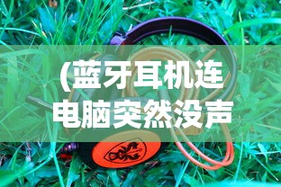 (蓝牙耳机连电脑突然没声音怎么回事)蓝牙耳机连接电脑无声之谜，原因解析与解决方案