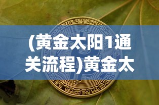 (黄金太阳1通关流程)黄金太阳1攻略道客巴巴，游戏指南与常见问题解答