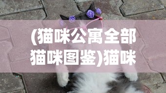 (猫咪公寓全部猫咪图鉴)猫咪公寓2是否面临跑路危机？深度分析与探讨