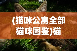 (猫咪公寓全部猫咪图鉴)猫咪公寓2是否面临跑路危机？深度分析与探讨