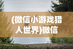 (微信小游戏猎人世界)微信小游戏猎人启程，冒险之旅的开启与探索