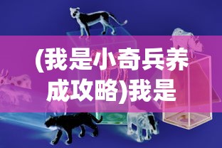 (我是小奇兵养成攻略)我是小奇兵养成，游戏角色培育之路