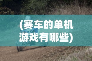 (赛车的单机游戏有哪些)赛车类单机游戏推荐，深度探索与常见问题解答（附参考文献）
