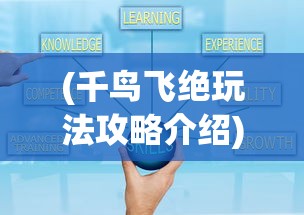 (千鸟飞绝玩法攻略介绍)千鸟飞绝游戏无法运行问题解析及解决策略