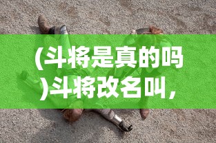 (斗将是真的吗)斗将改名叫，一场游戏名字变革的背后故事与影响