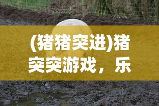 (猪猪突进)猪突突游戏，乐趣与挑战并存